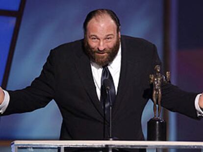 James Gandolfini recibe el premio del gremio de actores estadounidenses al mejor intérprete por <i>Los Soprano</i>.