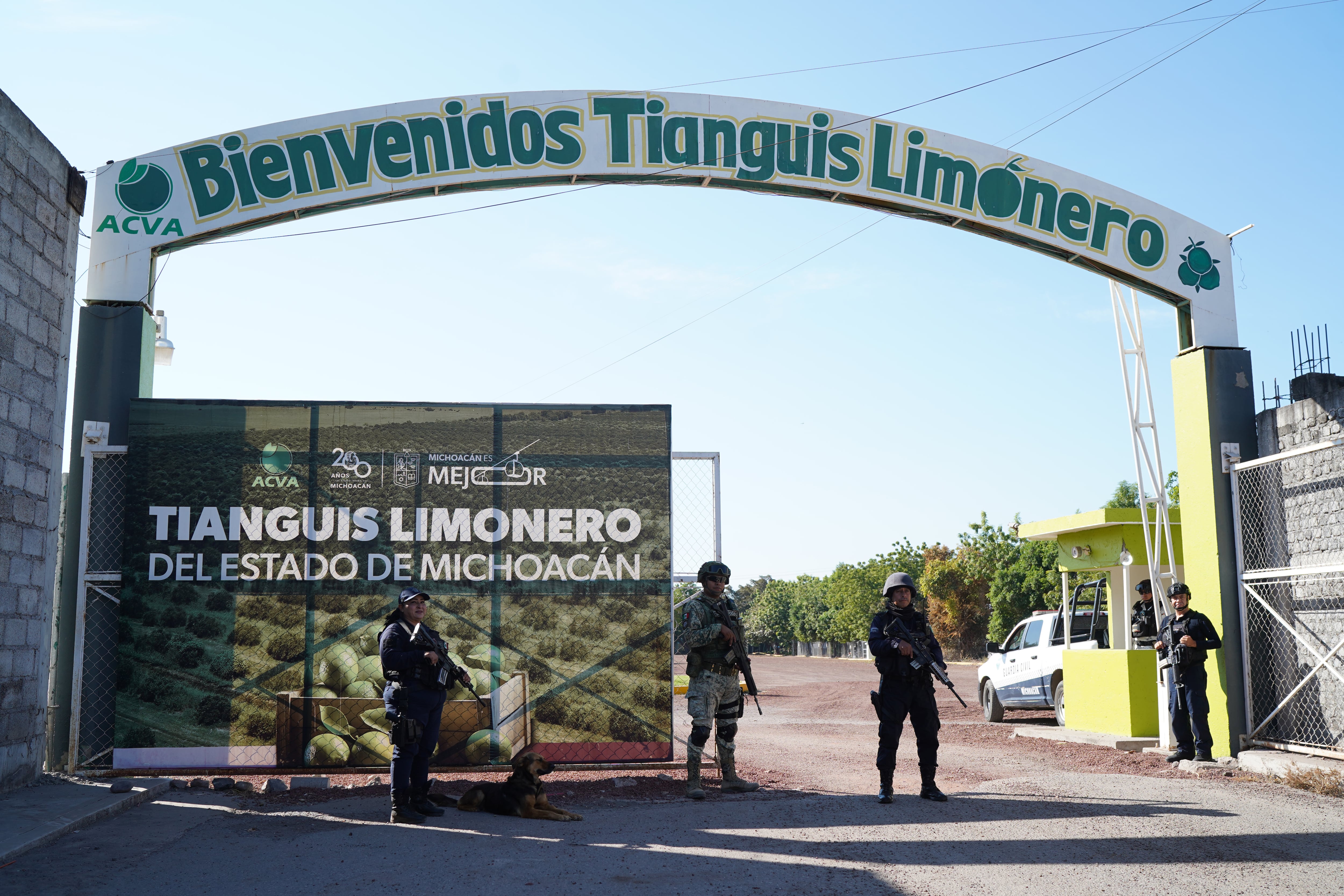 Elementos de la Guardia Nacional, Ejército Mexicano y Guardia Civil resguardan el tianguis limonero de Apatzingán, Michoacán, el 28 de enero.