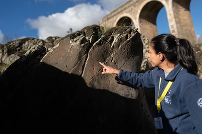 Yacimiento paleolítico al aire libre de Siega Verde.