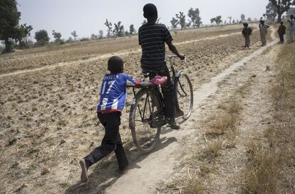 Niños del pueblo nómada Fulani, de camino a la escuela de Kulumin Jeji, en el Estado de Bauchi (Nigeria).