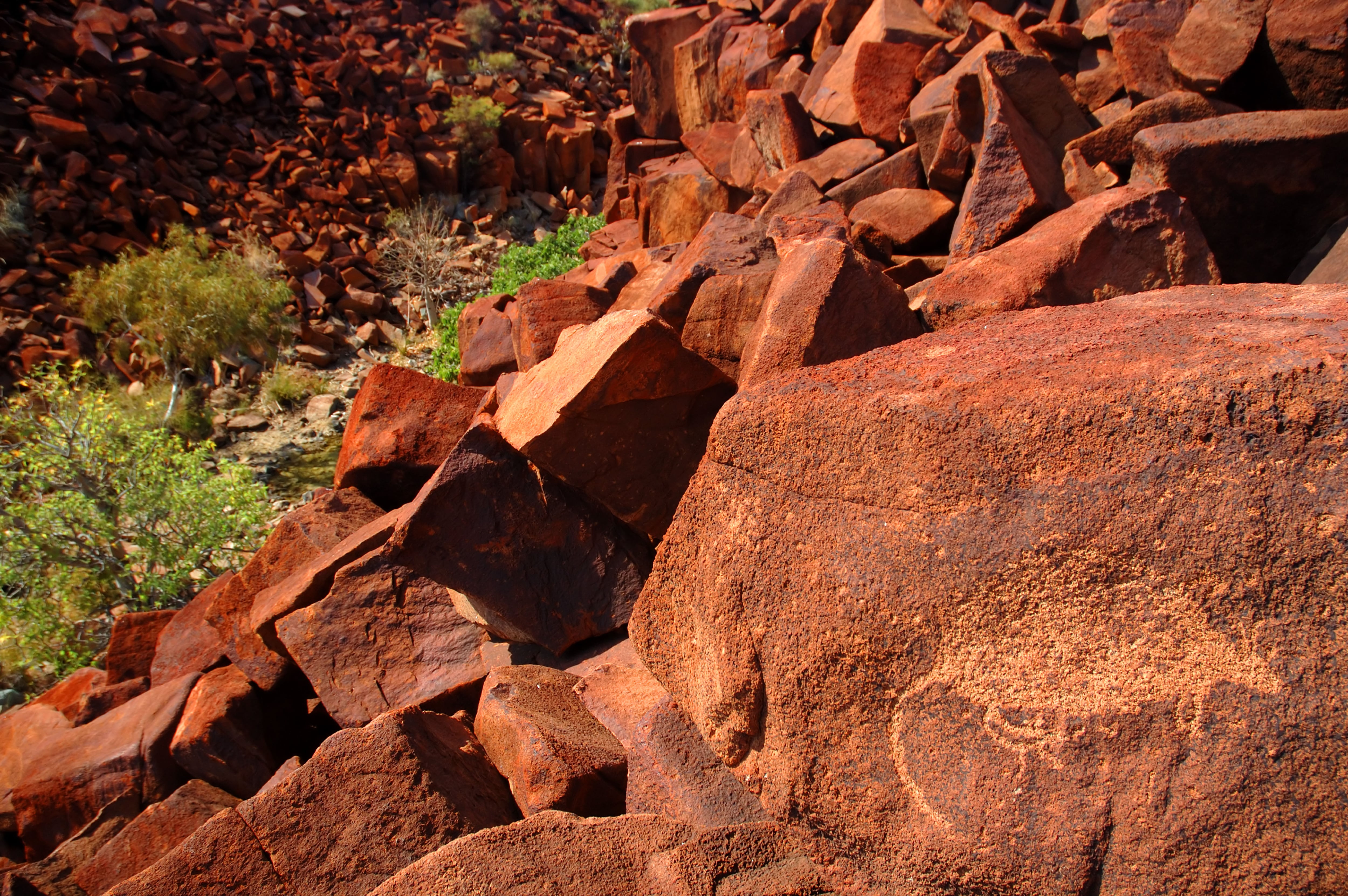 Detalle de un marsupial grabado en piedra en las tierras aborígenes de Murujuga (Australia).