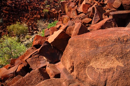 Detalle de un marsupial grabado en piedra en las tierras aborígenes de Murujuga (Australia).