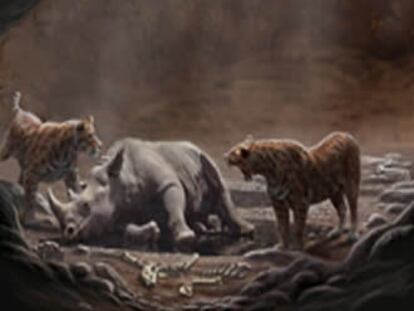 Dos ejemplares de tigres dientes de sable rodean el cadaver de un rinoceronte.