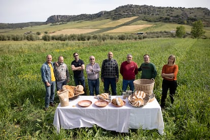 Agustín Troya (primero a la izquierda), junto a varios agricultores y panaderos de la zona, muestran varios tipos de pan hechos con trigo de esa zona de campo.