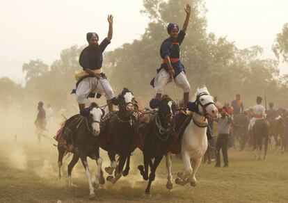 Miembros de la orden militar religiosa sij de "Nihang", sector ortodoxo de la religión sij, muestran sus habilidades a caballo durante la procesión de Mohalla en Amritsar, en India.
