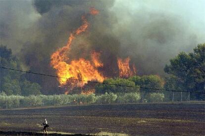 Imagen del incendio en Cistella.