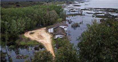 Vista aérea tomada ayer de una marisma de Doñana.