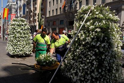Unos jardineros colocan flores en una jardinera en el centro de Madrid.