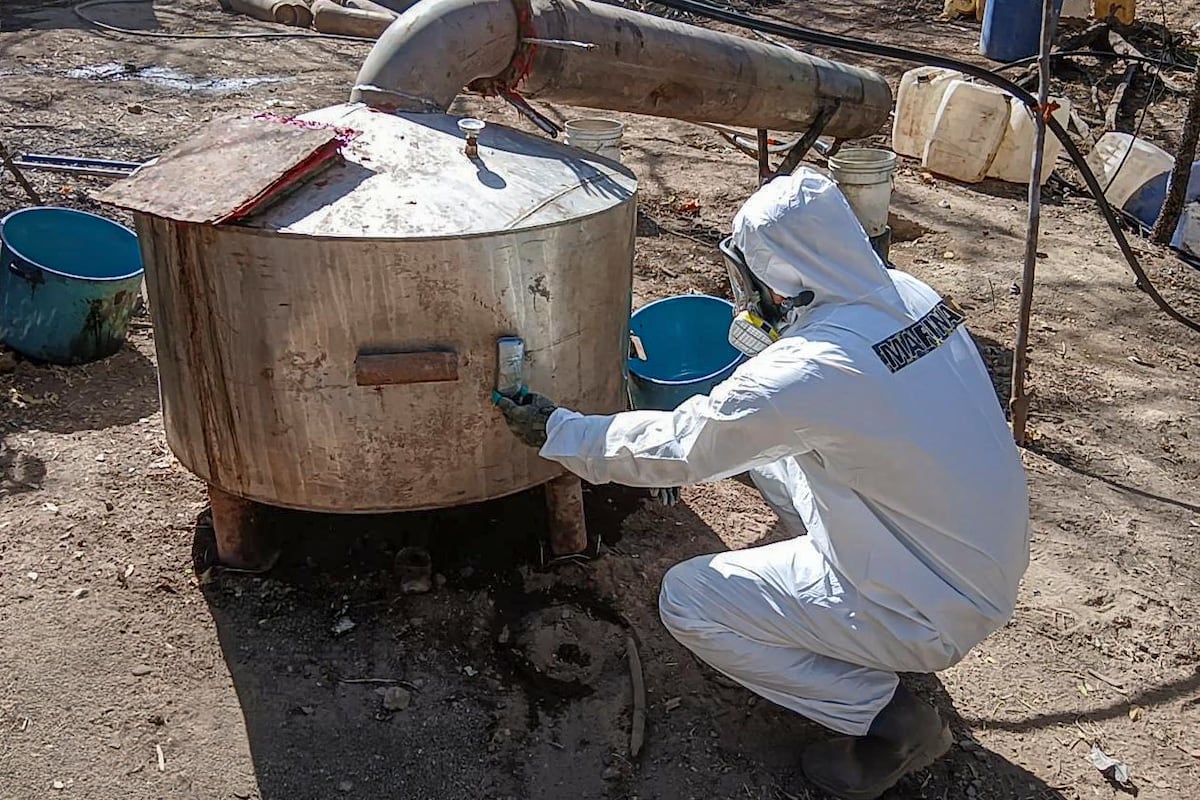 Mexico intensifies seizure of synthetic drugs with raids in Sinaloa, Sonora and Guerrero