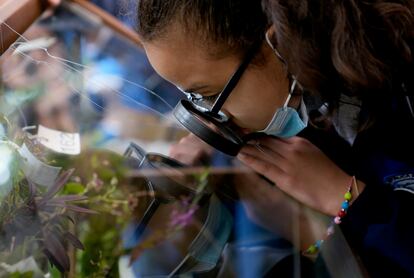 Una estudiante mira orquídeas miniatura en el jardín botánico de Bogotá.