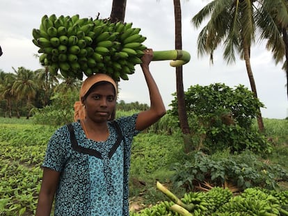 Sólo 12% de las mujeres en India usan compresas según un estudio de AC Nielsen de 2011. En las zonas rurales, esta cifra podría ser aún menos.