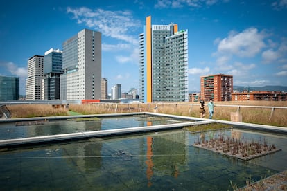 Nueva terraza verde sobre el Museo de Ciencias Naturales de Barcelona, 7.100 metros cuadrados de agua y plantas.