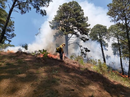 Guardias forestales combaten un incendio en el Cerro de la Cruz, en el municipio de Uruapan (Michoacán). En abril de 2023.