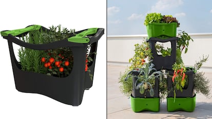 huerto urbano, como hacer un huerto urbano, huerto urbano amazon, huerta en casa, ¿Cómo empezar a hacer un huerto urbano?, ¿Que plantar para principiantes?, ¿Cómo se organiza un huerto?, ¿Cómo se puede hacer un huerto en casa?, Huerto urbano terraza, huerto vertical