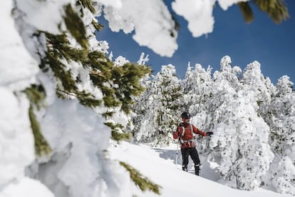 Parque Natural de la Sierra de Guadarrama en invierno.