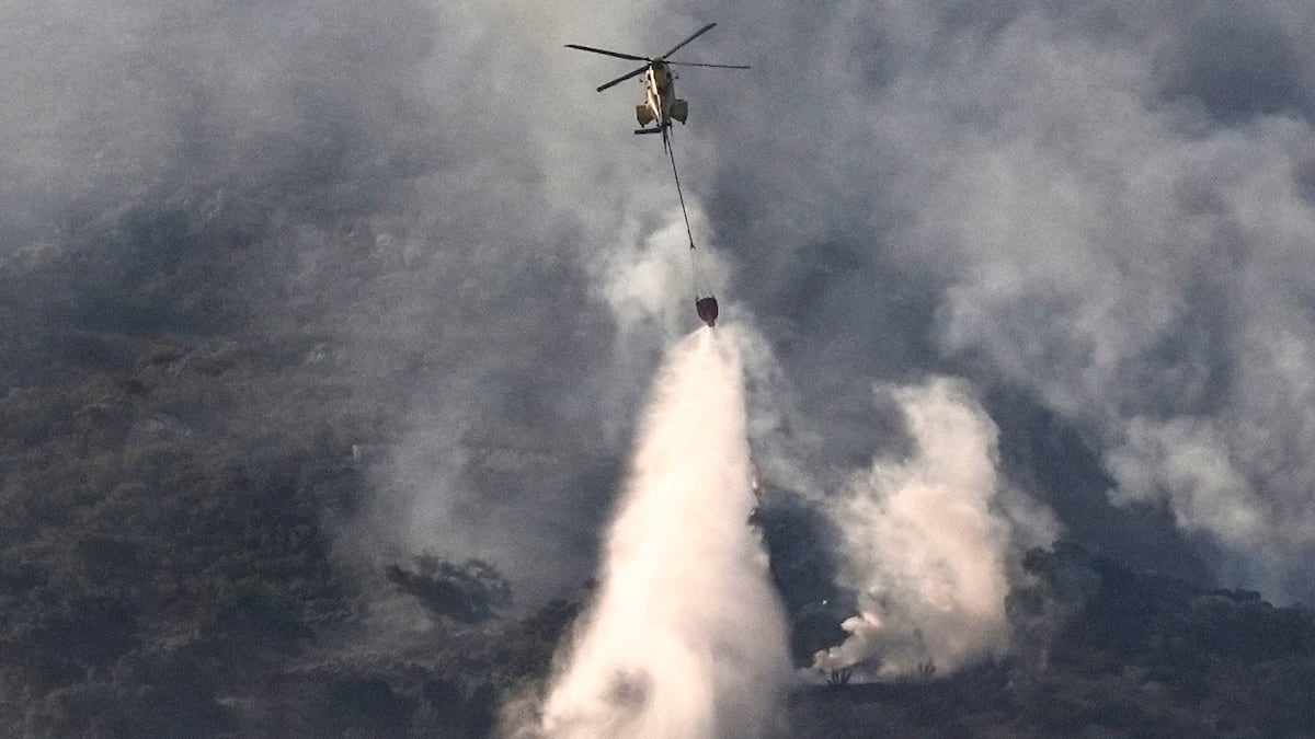 Spain battles dozens of wildfires amid heatwave
