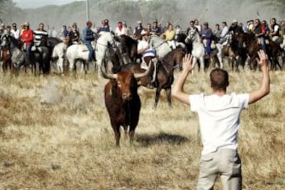 El Toro de la Vega, con los lanceros detrás.