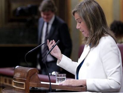 La ministra de Sanidad, Ana Mato, durante su intervenci&oacute;n hoy en la sesi&oacute;n de control al Gobierno del pleno del Congreso. EFE/Zipi