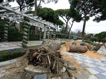 Árboles tronzados por culpa del temporal y el viento en los jardines de Cecilio Rodríguez.