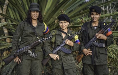 (L to R) Luisa, Manuela and Rosmira, members of the Revolutionary Armed Forces of Colombia (FARC), pose for a picture at a camp in the Colombian mountains on February 18, 2016. Many of these women are willing to be reunited with the children they gave birth and then left under protection of relatives or farmers, whenever the peace agreement will put an end to the country's internal conflict.    AFP PHOTO / LUIS ACOSTA