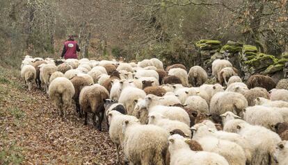 La agroecología es un modelo que mitiga los efectos del cambio climático