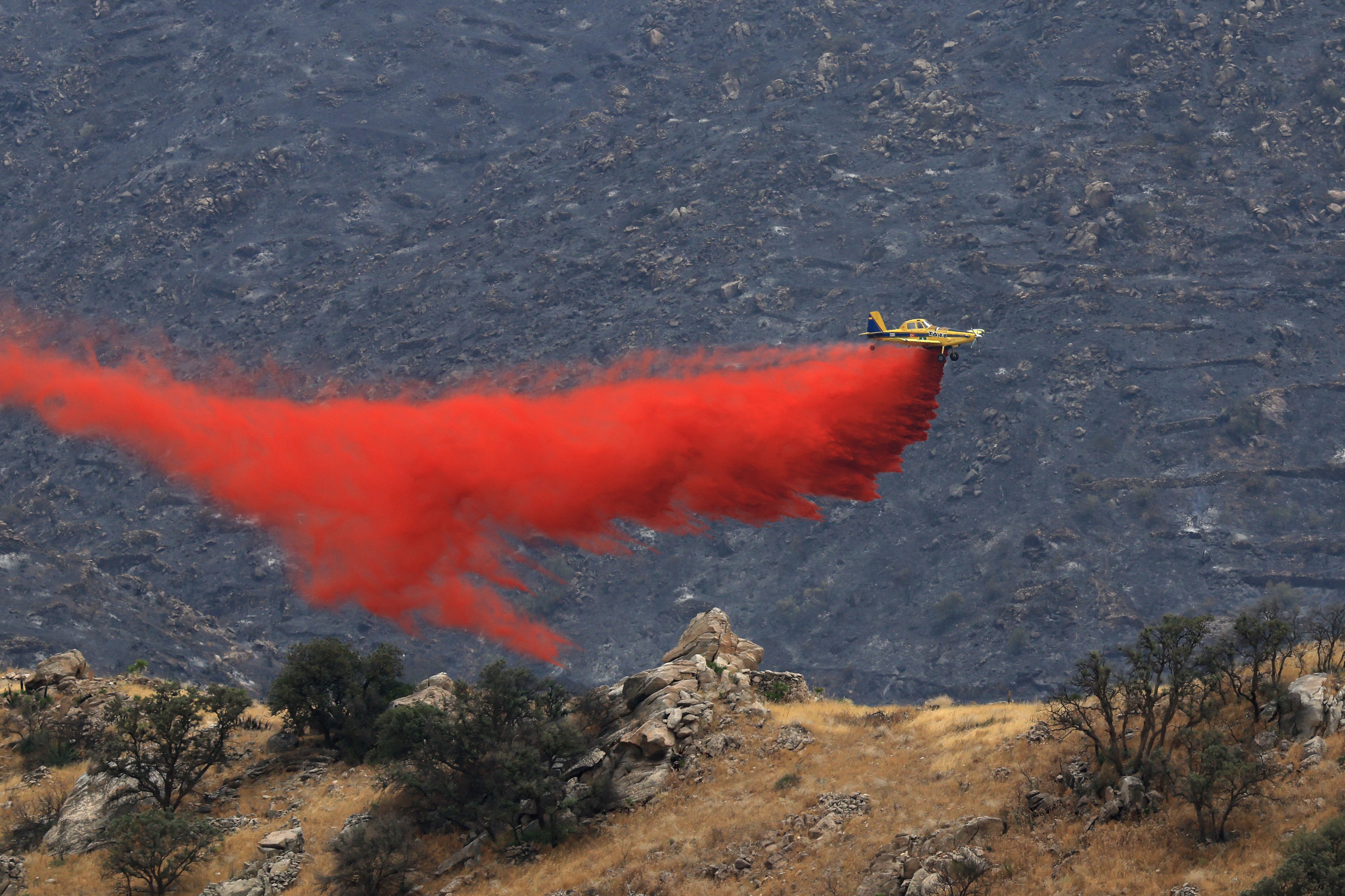Últimas noticias del incendio forestal de Los Gallardos (Almería), en directo | El consejero de Emergencias: “Quienes cuestionan que no se mandara el Es-Alert no tienen ni idea de lo que hablan”