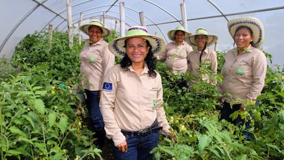 Un grupo de trabajadoras en Ciudad Mujer, una iniciativa del Gobierno de El Salvador.