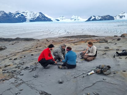 El equipo trabajando en glaciar Tyndall del Parque Nacional Torres del Paine.