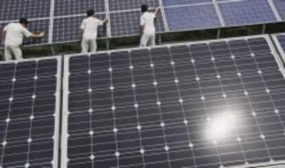 Trabajadores limpian paneles solares en China.