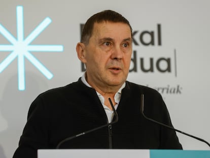 El coordinador de EH Bildu, Arnaldo Otegi, en una jornada de presentación de la estrategia energética de la formación, el pasado día 26 de noviembre.