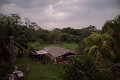 Vista general del campamento donde viven el equipo de guardabosques.