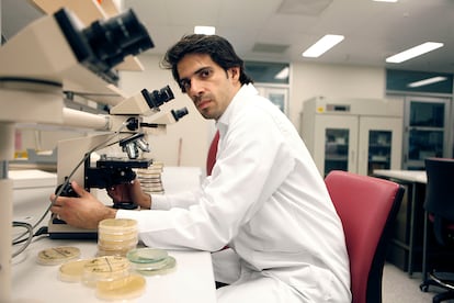 Hosam Zowawi examina bacterias resistentes a los antibióticos en la universidad de Queensland (Brisbane, Australia).