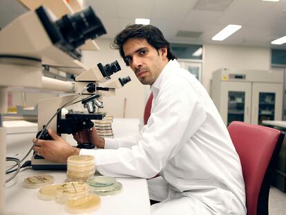 Hosam Zowawi examina bacterias resistentes a los antibióticos en la universidad de Queensland (Brisbane, Australia).
