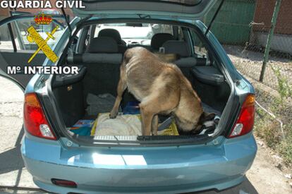 En la foto, un perro de la Guardia Civil busca pruebas en el coche en el que viajaban los dos presuntos homicidas y la víctima.