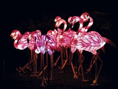 Estilo de vida occidental