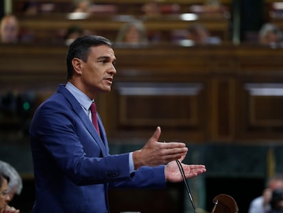 El presidente del Gobierno, Pedro Sánchez, en el Congreso.