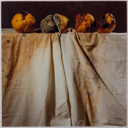 Toni Catany. Naturaleza muerta núm.148. Museu Nacional d’Art de Catalunya