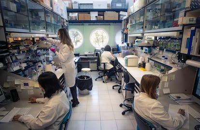 Investigadores del laboratorio del CNB, en Tres Cantos (Madrid). 