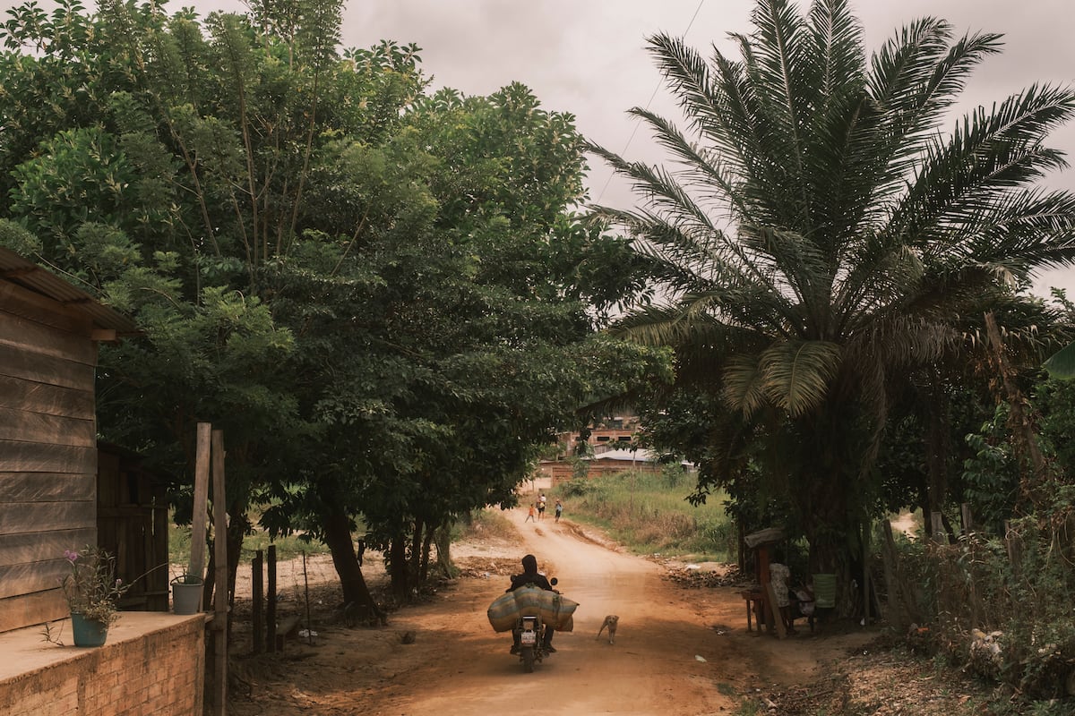 Catatumbo: In the heart of the war in Colombia