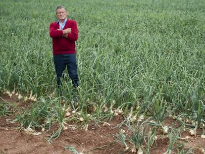 Jos&eacute; Alapont, agricultor de Silla, en un campo reci&eacute;n asaltado.