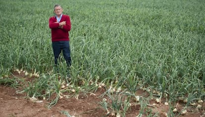 Jos&eacute; Alapont, agricultor de Silla, en un campo reci&eacute;n asaltado.