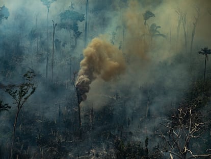 Un incendio en la selva brasileña en Rondonia.