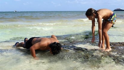 Turistas disfrutan de la formación de ojos de agua el 2 de julio 2024 en Playa del Carmen, Quintana Roo (México).