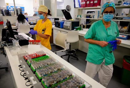 Microbiologists in Madrid's Gregorio Marañón hospital process samples ready for PCR coronavirus testing.
