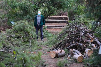 Mariano Sánchez García es conservador y jefe de la Unidad de Jardinería y Arbolado del Real Jardín Botánico.