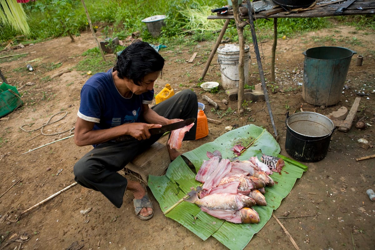 Millennia-old Yuracare language resists extinction through 900 speakers and a new dictionary