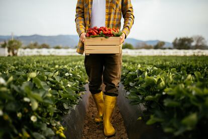 EIT Food contribuye al desarrollo de un sistema alimentario más saludable, sostenible y resiliente tanto en Europa como más allá del continente.