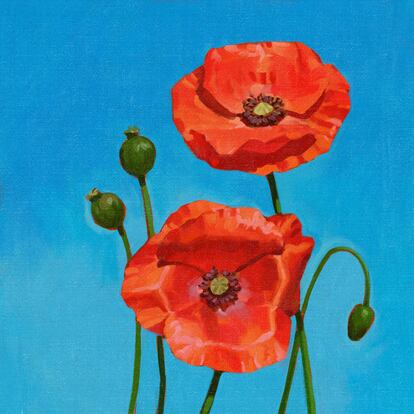 'Poppy'.