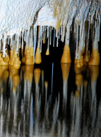 Estalactitas en el nivel actual del mar en la cueva de Vallgomera