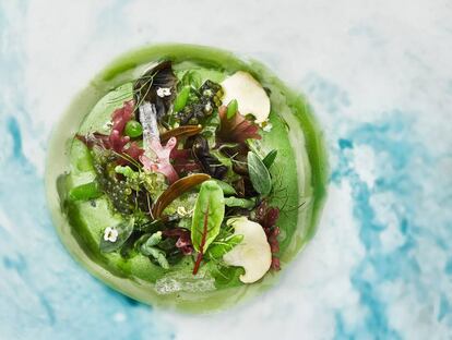 El plato de mar y montaña vegetal.